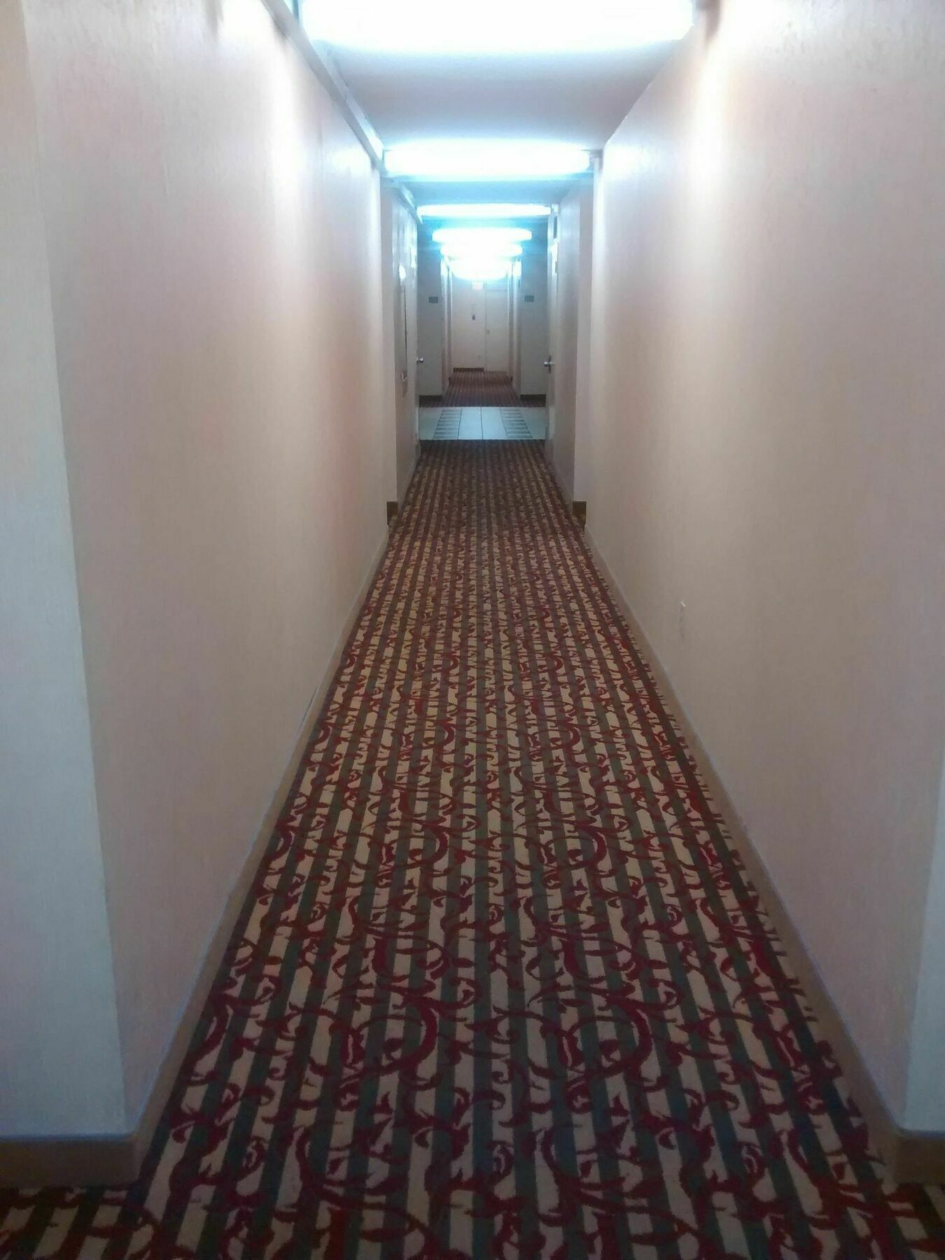 Toronto Furnished Living-Gerard Διαμέρισμα Εξωτερικό φωτογραφία